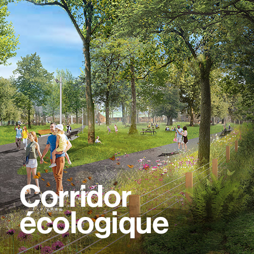 Aménagement du corridor écologique du mont Boullé