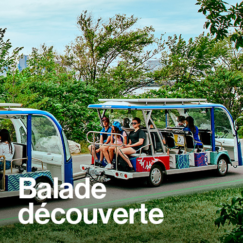 Balade découverte