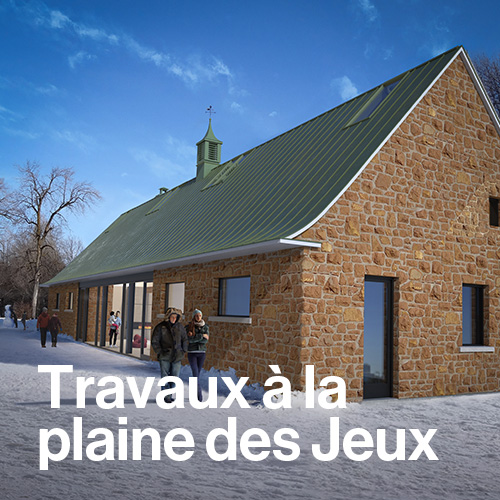 Travaux à la plaine des Jeux