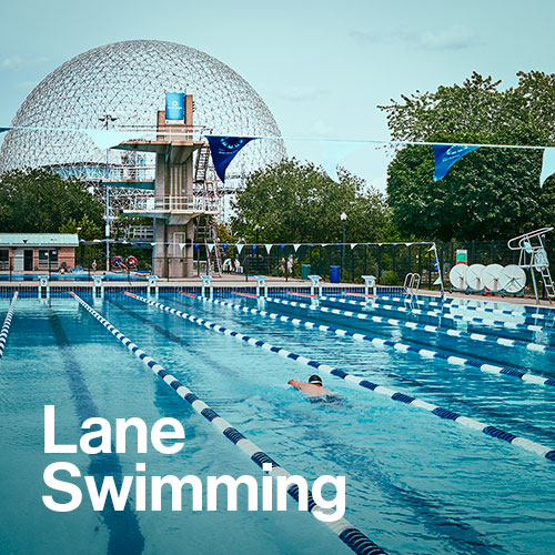Lane Swimming