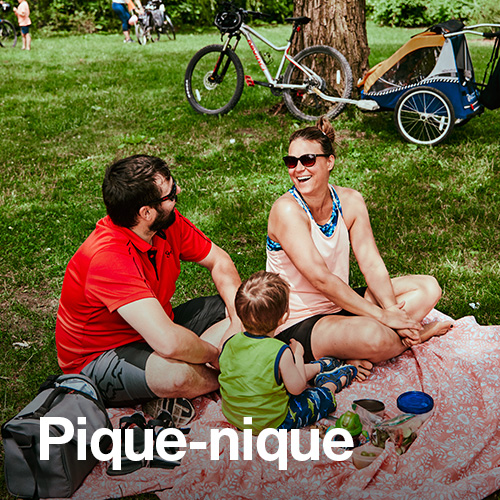 Pique-nique