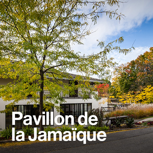 Restauration du pavillon de la Jamaïque