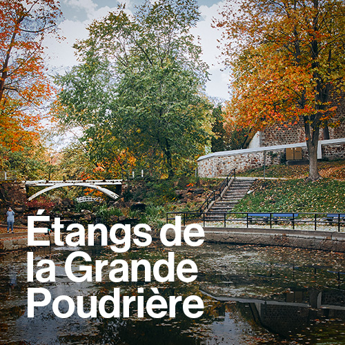 Restauration écologique des étangs de la Grande Poudrière